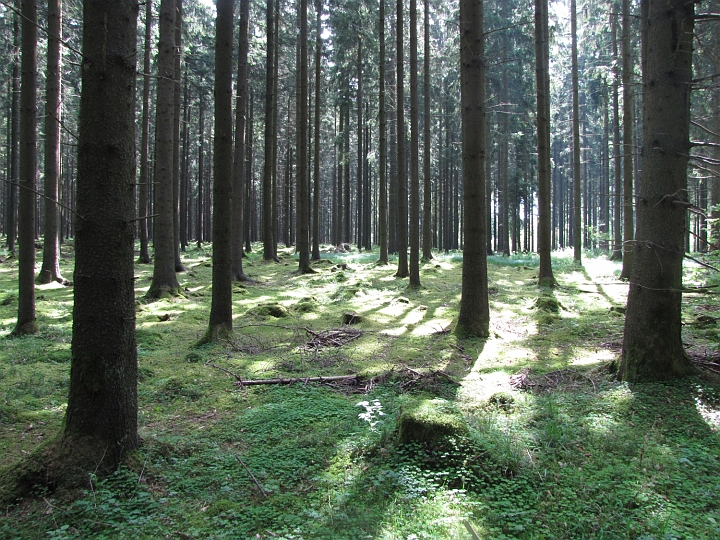 Wanderung 2014_016.jpg